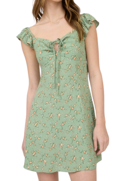 Paige Floral Mini Dress