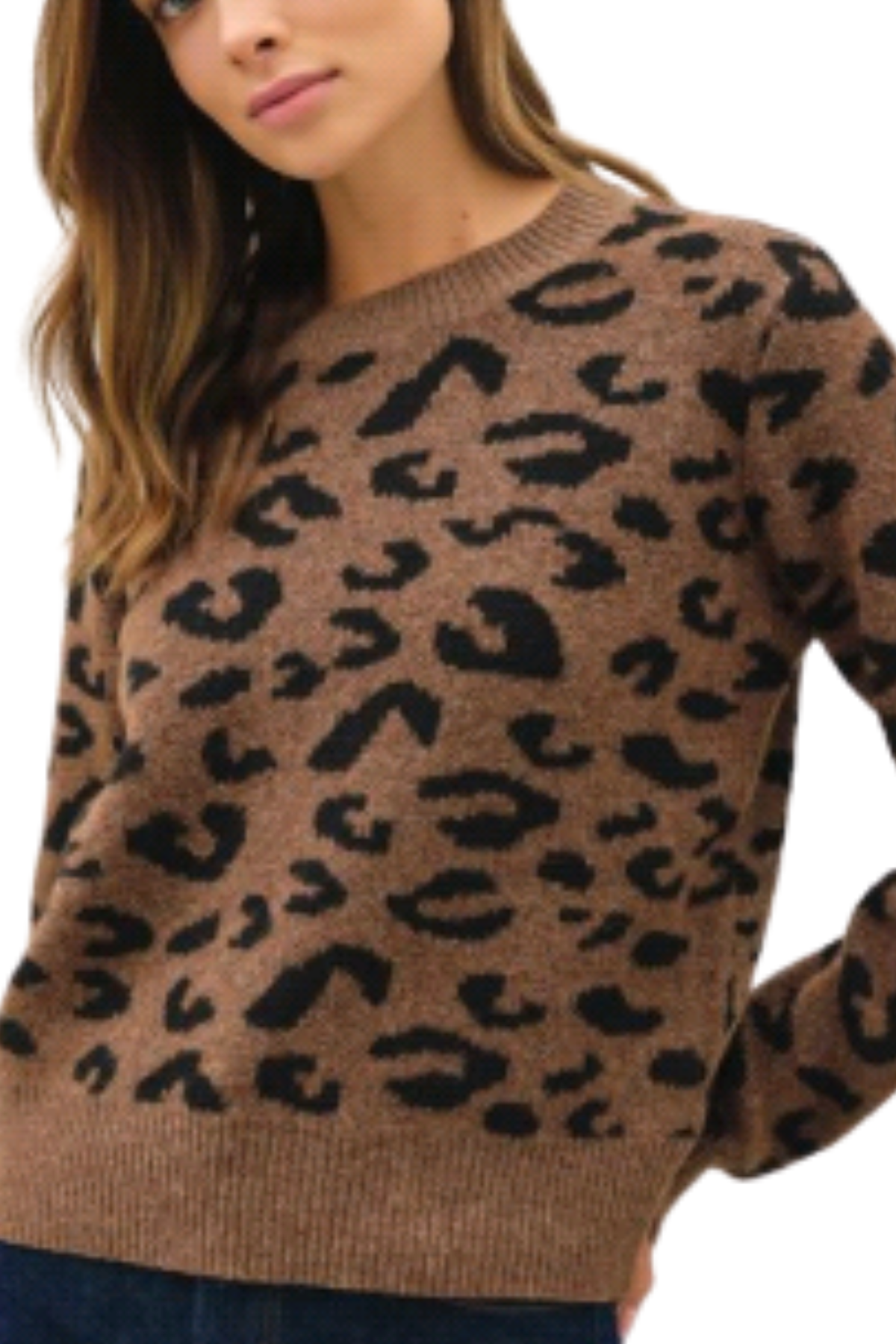 Carmen Leopard Sweater