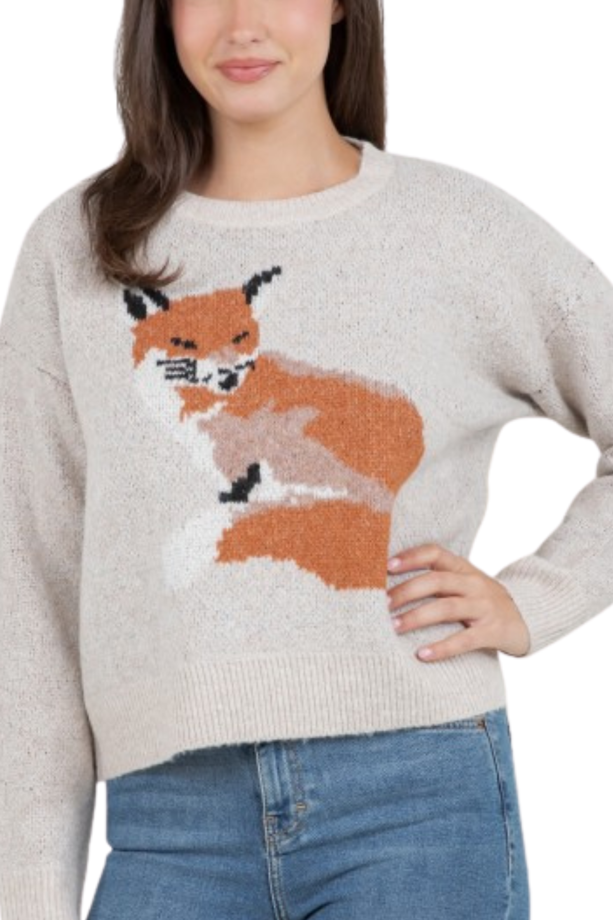Fox Graphic Sweater